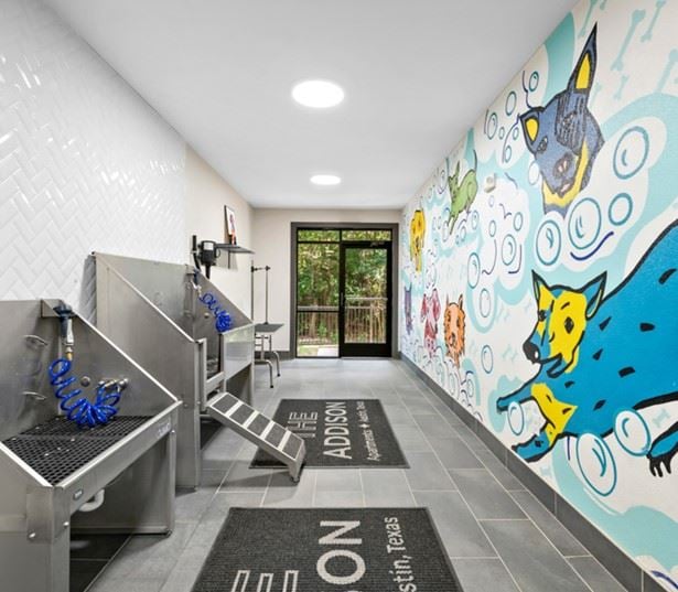 Austin, Texas apartments for rent near Dell - The Addison Apartments pet spa