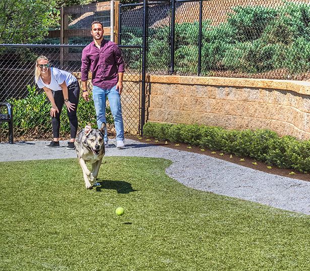 Apartments with Gwinnett County Public Schools - Artisan Station Bark Park