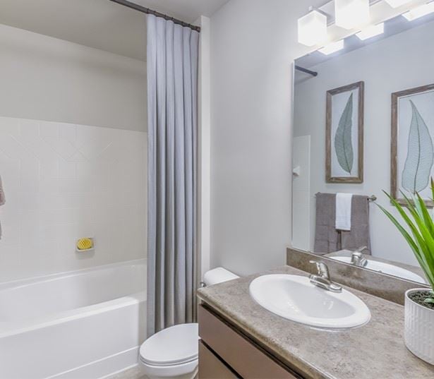 Apartments 28273 - Gramercy Square at Ayrsley - Modern bathrooms