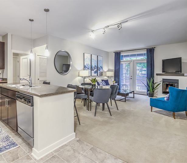 Apartments on south tryon charlotte nc - Gramercy Square at Ayrsley - Living room