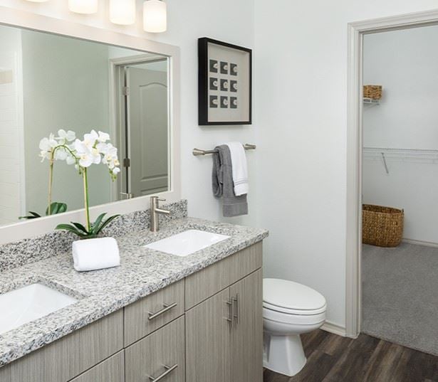 Short Pump apartments for rent - The Madison Apartments upgraded bathrooms