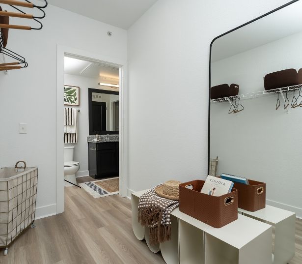 Pet Friendly Apartments in Downtown Denver - The Battery on Blake Street - Closet