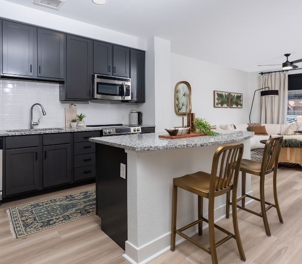 The Battery on Blake Street Apartments in Downtown Denver - Kitchen