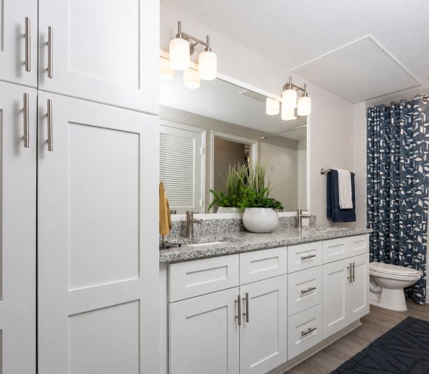 Orlando Renovated Apartments for rent - Reserve at Beachline - Bathroom