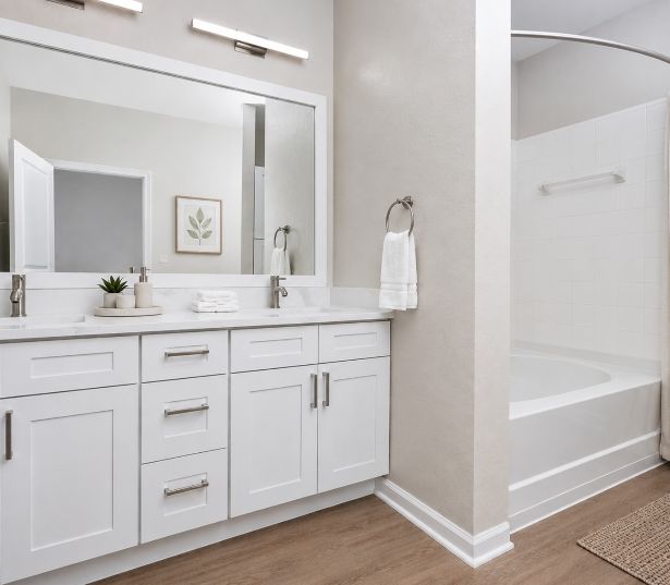 Reserve At Beachline apartments for rent in Orlando FL - Medical City - Bathroom