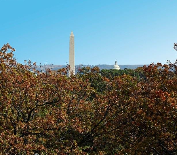 Zoso Flats - Rooftop views of downtown DC Monument - Apartments near DC