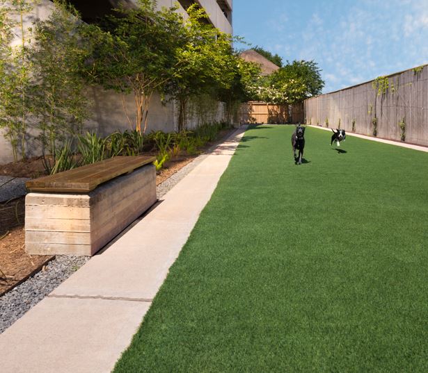Museum district apartments for rent - District at Greenbriar Dog Park
