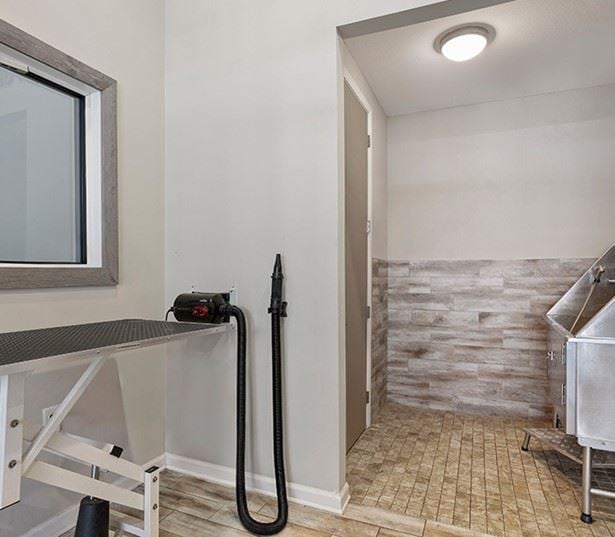 Apartments near Aspen Grove Park in Franklin, TN - Dwell at McEwen Puppy Parlor