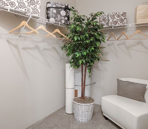 Cascade Summit Apartments and Townhomes for rent in Lake Oswego - walk in closets