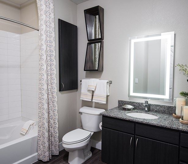 Hartley Flats Modern bathrooms with framed mirrors Denver CO - Downtown