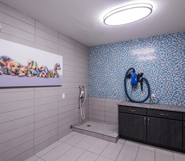 Hartley Flats Pet wash station Denver CO - Downtown