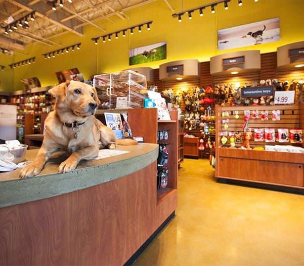 Joule La Floresta - Brea, CA - nearby pet store