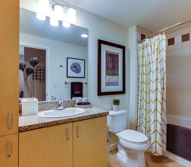 The Matisse apartments for rent in Downtown Portland - bathroom storage