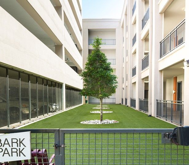 The Icon at Ross dog walk - Dallas Arts District Apartments