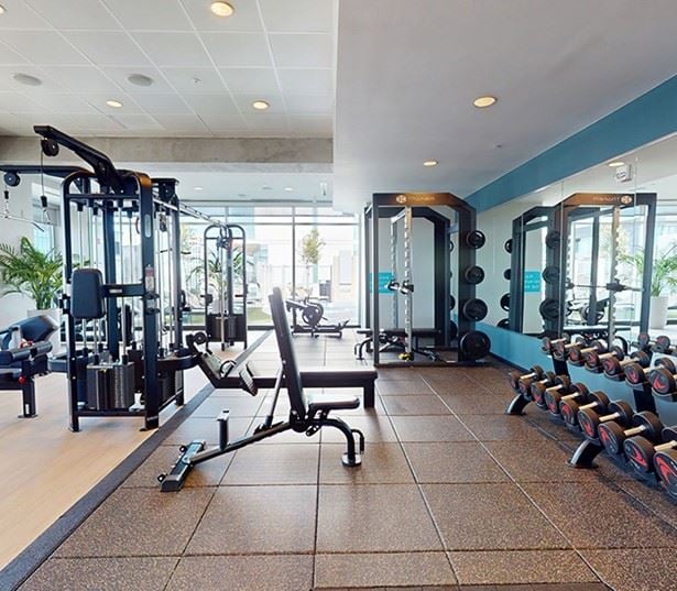 River Oaks District apartments for rent in Houston - SkyHouse River Oaks Fitness Center