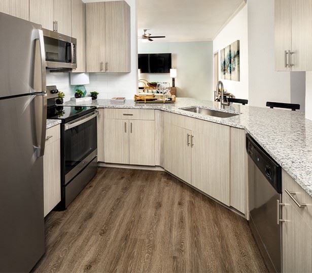 Henrico apartments for rent - The Madison Apartments upgraded appliances