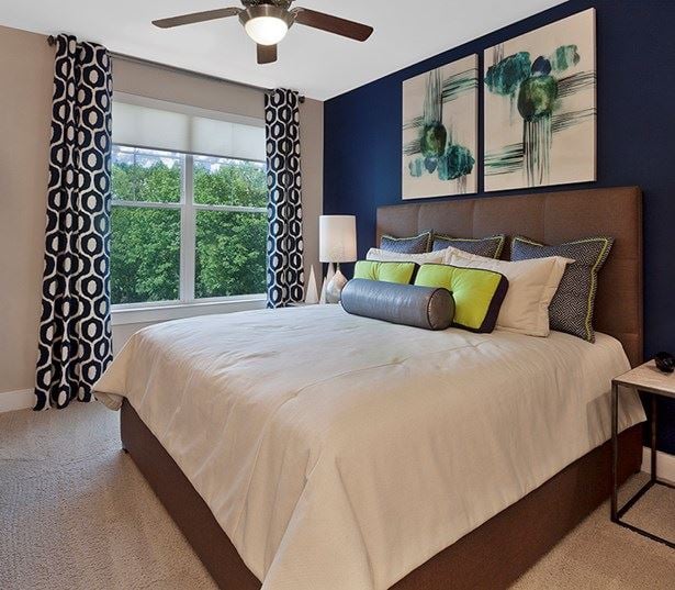 Marshall Park apartment homes in raleigh nc - Spacious bedroom with solar window shades