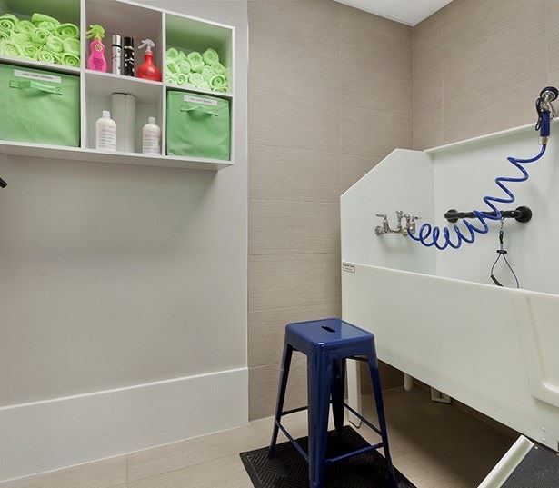 Raleigh, NC Apartments in North Hills - Marshall Park dog wash with ramp wash tub and hair dryer