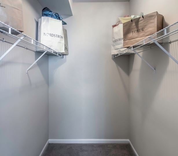Henrico apartments for rent - The Madison Apartments Expansive walk-in closets