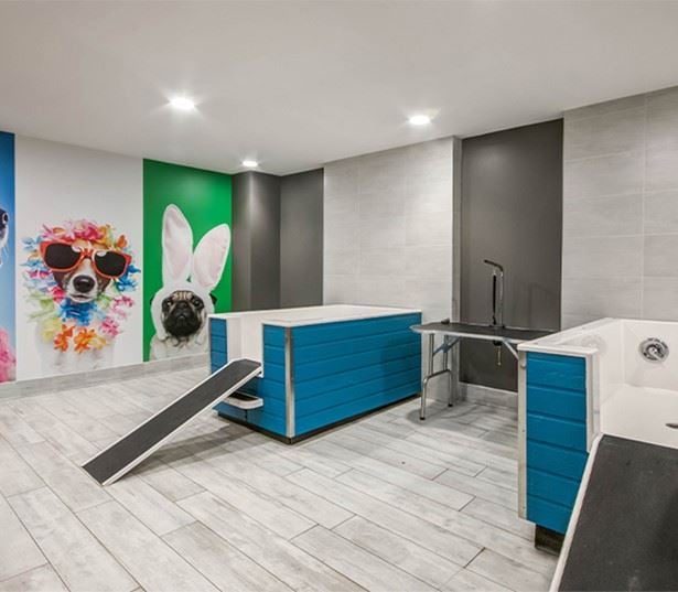 Mallory Square - Rockville, MD - pet spa