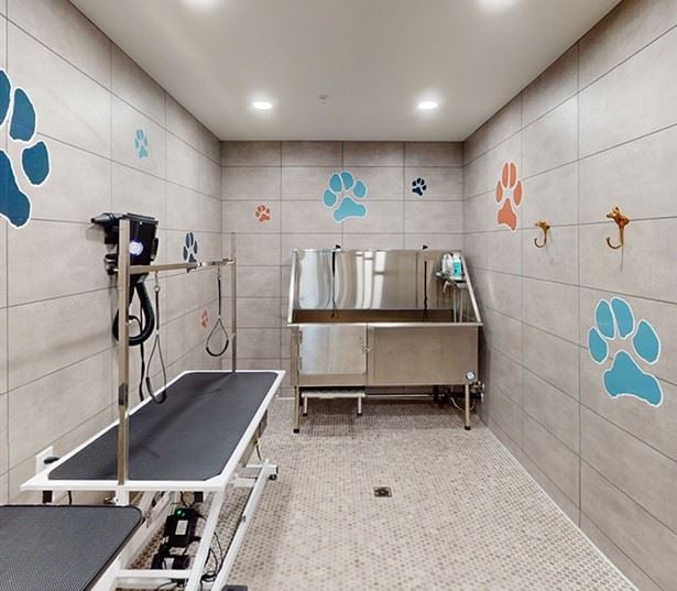 The Meadows at Meridian - Townhomes in Parker, CO - Pet Spa