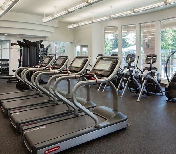 Apartments for rent near Lone Tree - The Meadows At Meridian Spacious living room/ dining area