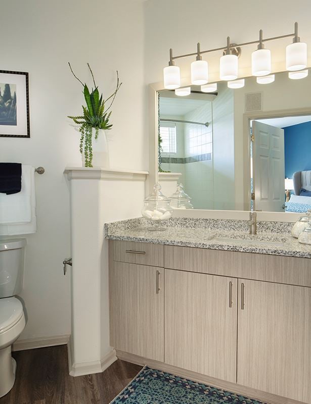 Ridgegate apartments and townhomes - The Meadows At Meridian upgraded bathrooms