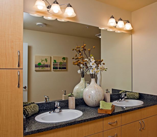 Apartments for rent Bellevue WA - Metro 112 Apartments - dual vanities