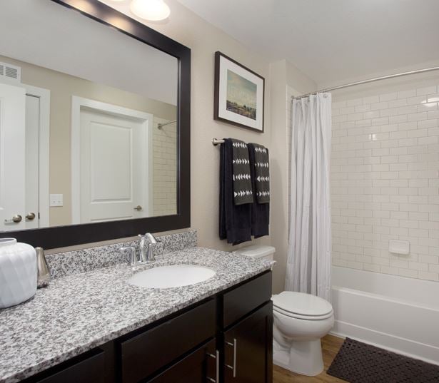 The Battery on Blake Street model bathroom - Apartments and Penthouses for Rent in LoDo