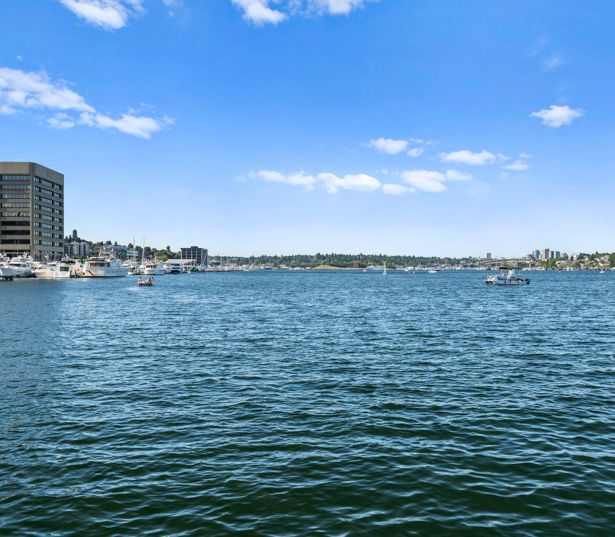 Downtown Seattle apartments - near South Lake Union