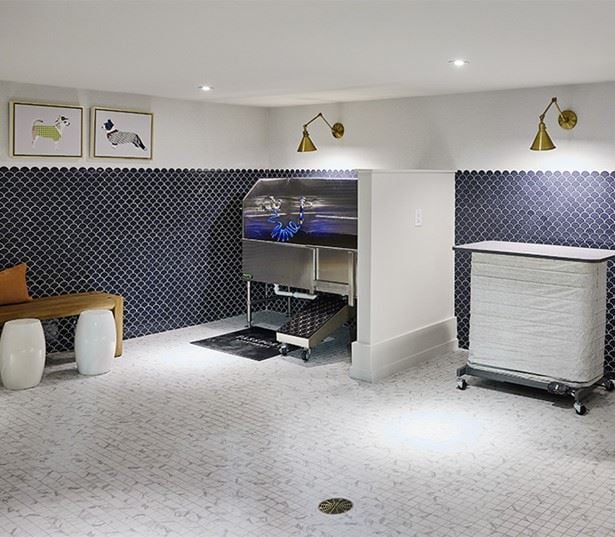 Passport Apartments for Rent in Herndon, VA - Pet Spa
