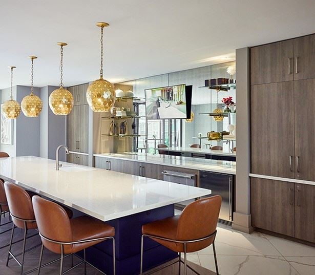 Passport Apartments for Rent near IAD - Resident Club Lounge