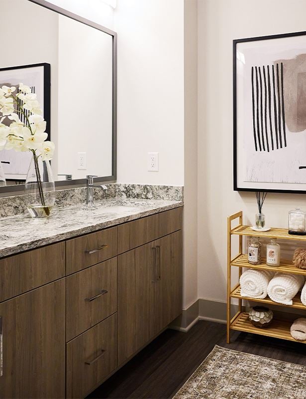 Passport Apartments for Rent near Reston, VA - Bathroom