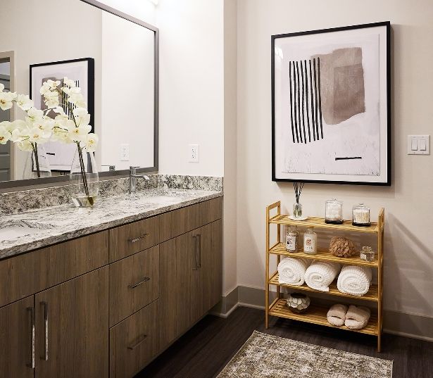 Passport Apartments for Rent near Reston, VA - Bathroom
