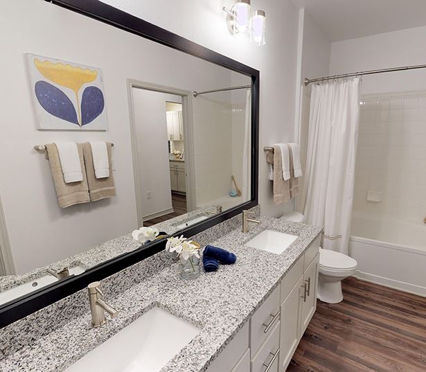 Promenade Park Apartments for Rent in Charlotte - Updated Bathroom