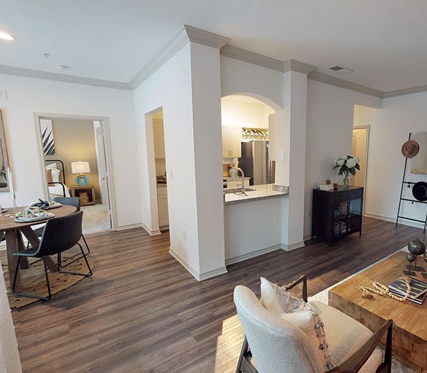 Upgraded apartments for rent in Ballantyne, NC - Promenade Park - Living Room