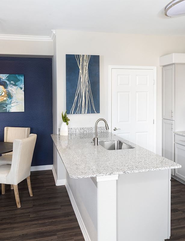 Apartments in Blakeney near Ballantyne Corporate Park - Promenade Park - luxury vinyl plank floors