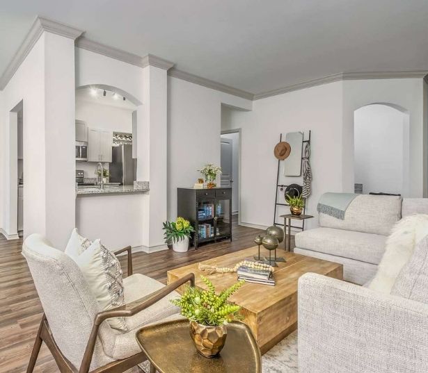 Upgraded apartments for rent in Ballantyne, NC - Promenade Park - Living Room