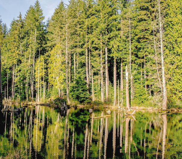 Redmond apartments near Microsoft - The Lodge at Redmond Ridge 15 miles of hiking and biking trails