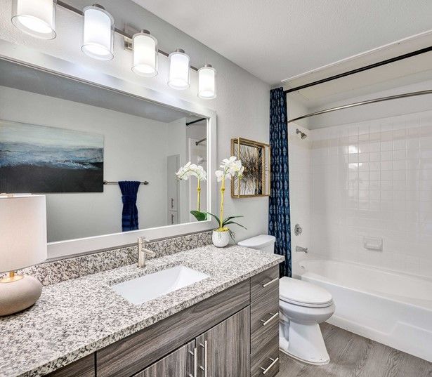Ridgeview Apartments for Rent in Austin, TX - Bathroom