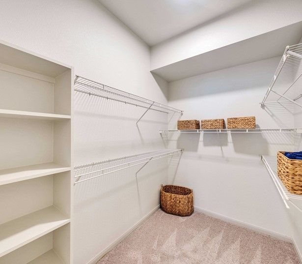 Southwest Austin apartments for rent near Accenture - Walk-in Closet