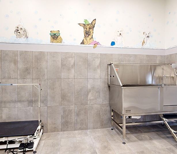 South Austin Apartments for Rent - Ridgeview - Pet spa