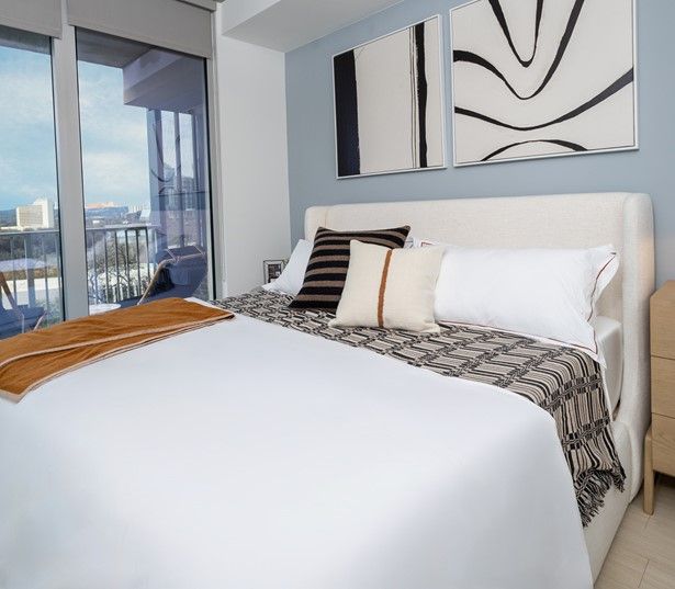 Lady Bird Lake apartments for rent - SkyHouse Austin 9- Bedroom