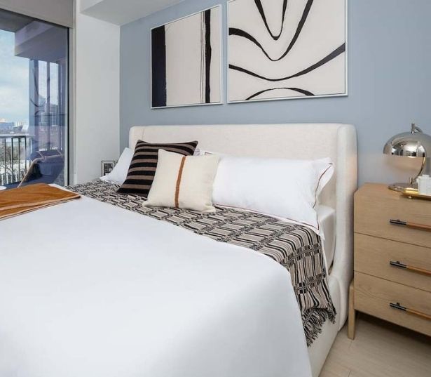 Lady Bird Lake apartments for rent - SkyHouse Austin 9- Bedroom