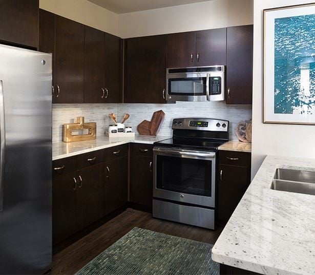 the Domain apartments - The Addison Apartments Stainless steel Energy Star GE appliances