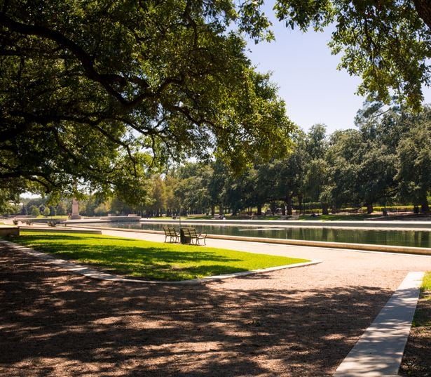 Museum District Houston apartments - District At Greenbriar Minutes from Hermann Park