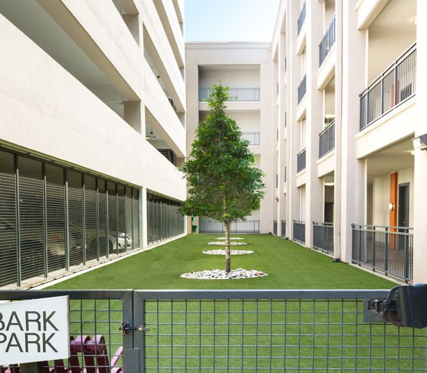 The Icon at Ross pet park and dog run Dallas, TX - Uptown Dallas Apartments