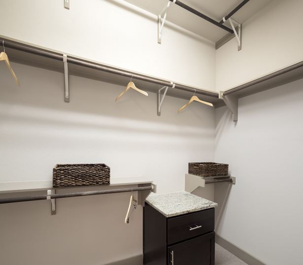 The Icon at Ross walk-in closets Dallas, TX - Apartments in the Dallas Arts District