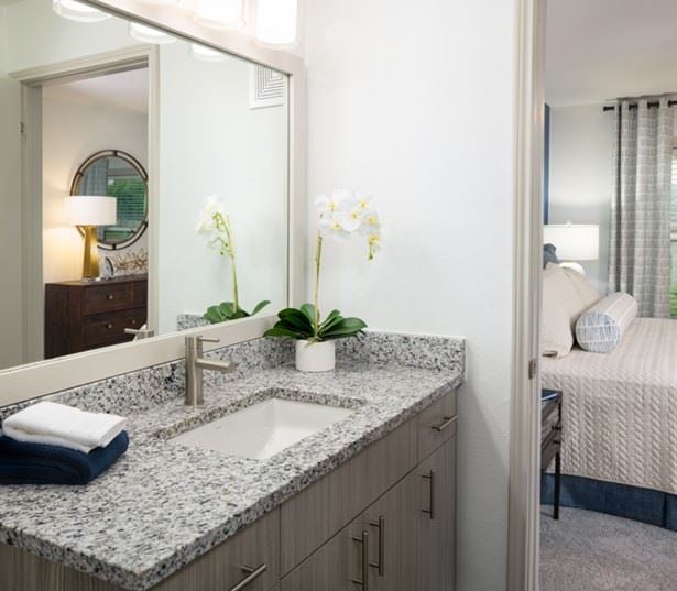 Montelena Apartments - Apartments near DFW Airport - remodeled bathrooms