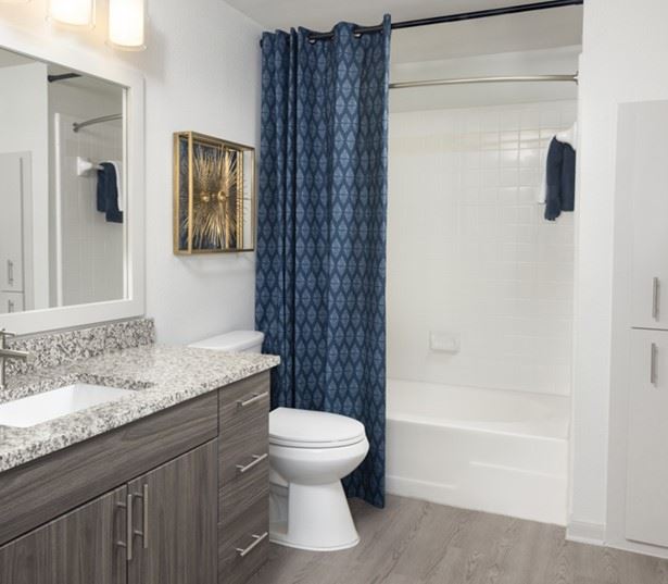 Ridgeview Apartments for Rent in Austin, TX - Bathroom